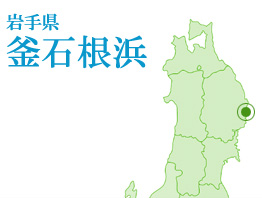 忘れてはならない記憶を石に刻む｜津波記憶石　【釜石根浜】